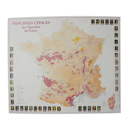 Carte des Cépages de France - Maison du Vin de Saint-Emilion